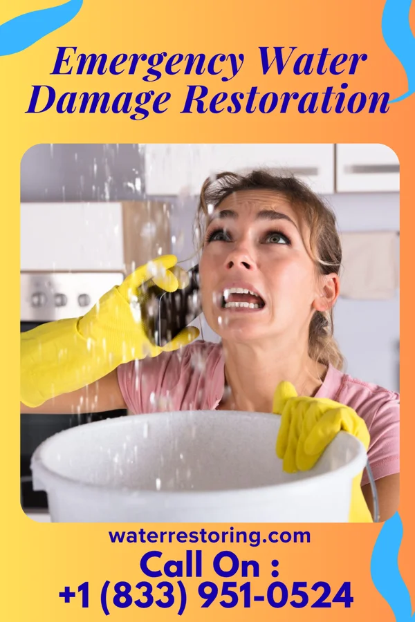 Emergency Water Damage Restoration in Uvalda, GA