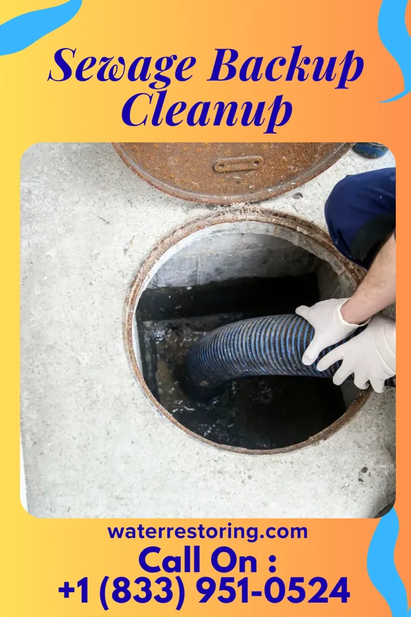 Sewage Backup Cleanup in Uvalda, GA